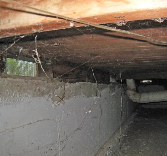 Crawl Space Mold Removal in Augusta, GA