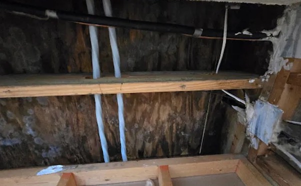 Attic Mold Remediation in Augusta, GA