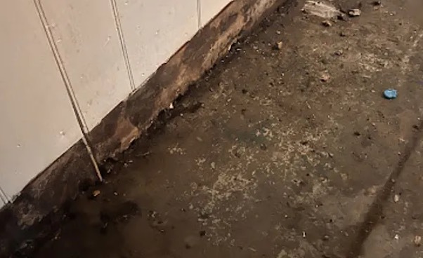 Sewage Backup Cleanup in Augusta, GA