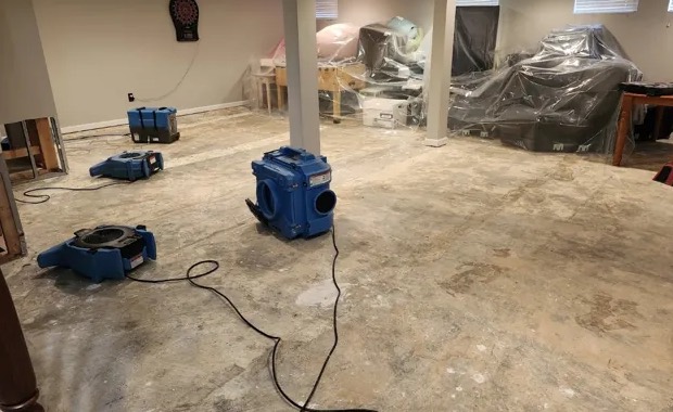Mold Testing Services in Augusta, GA